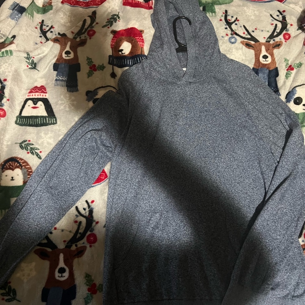 Blue Sweater Hoodie